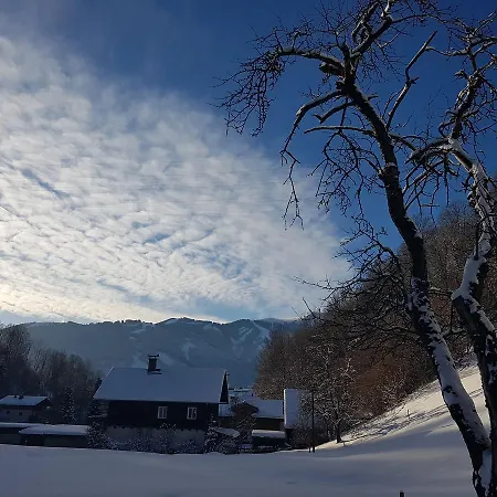 Appartement Haus Gandler Zell am See