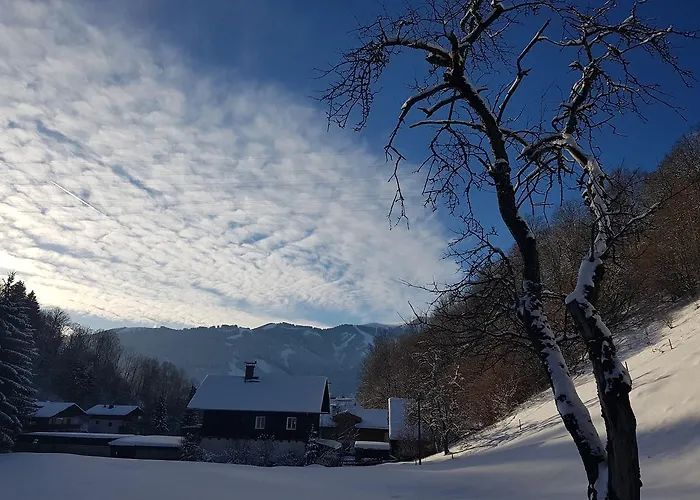 Appartement Haus Gandler Zell am See