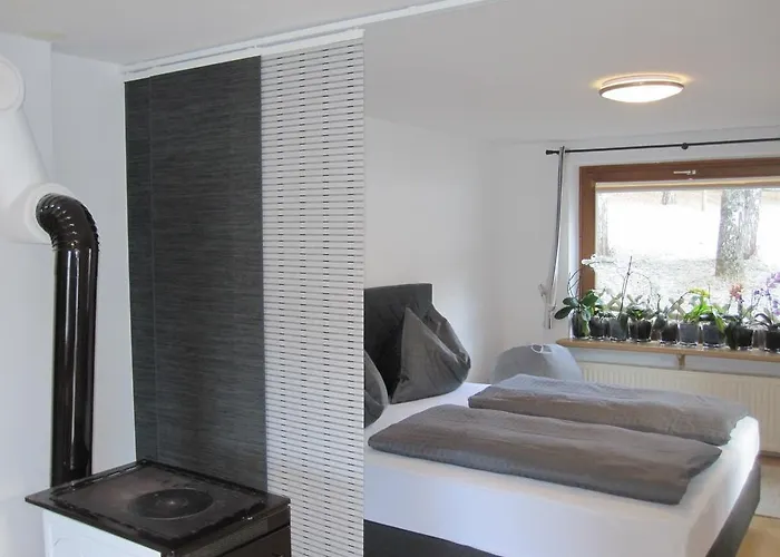 Haus Gandler Apartment